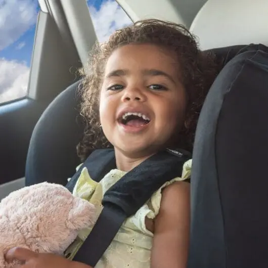 Dooky Seat Belt Pads (2 Pack) In Black 2