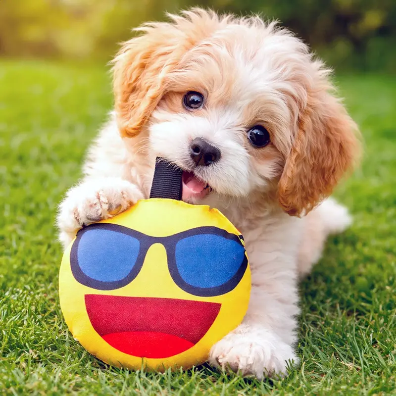 Emoji Con Lentes, Juguete Para Mascota 1