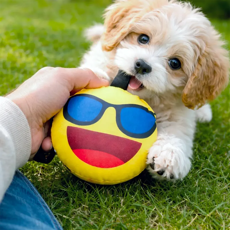 Emoji Con Lentes, Juguete Para Mascota 2