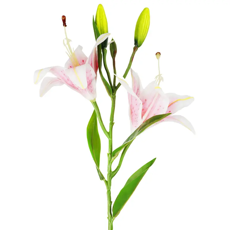Flores Artificiales, Lirio 2