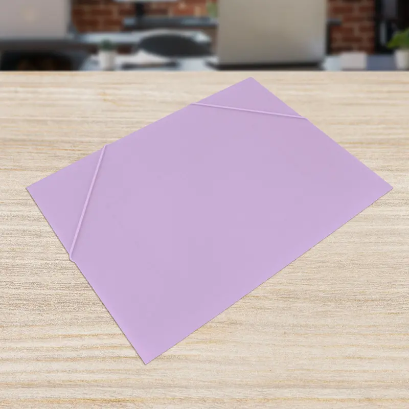 Folder Organizador Color Lila 31X23.5Cm 2