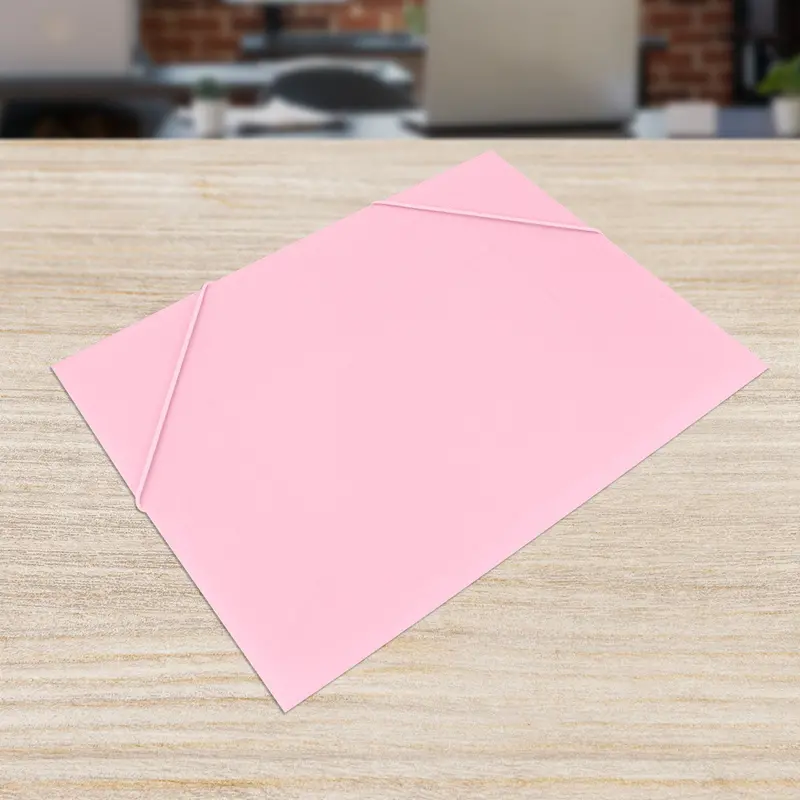 Folder Organizador Color Rosa 31X23.5Cm 2