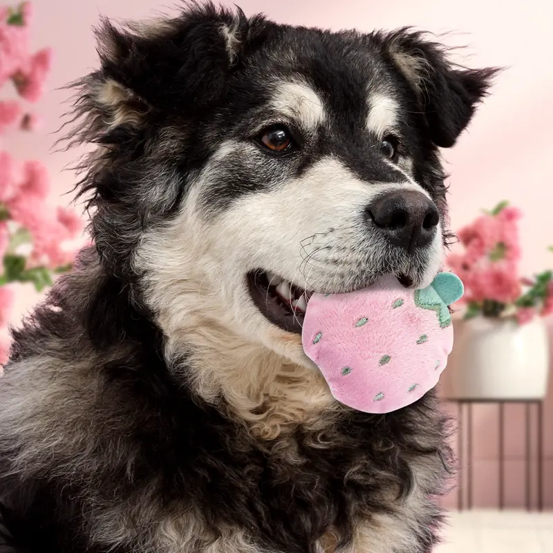 Fresa De Peluche, Color Rosa 1