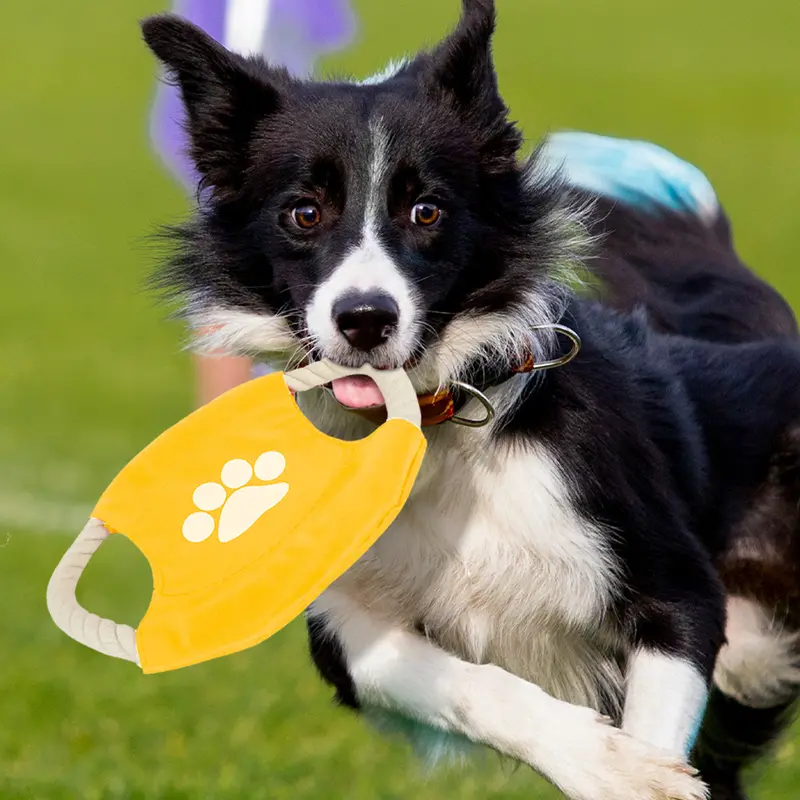 Frisbee De Cuerda Para Perro, Color Amarillo 1