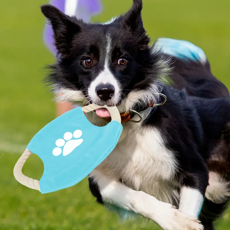 Frisbee De Cuerda Para Perro, Color Azul 1