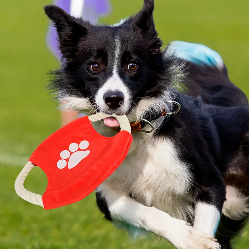 Frisbee De Cuerda Para Perro, Color Rojo 1