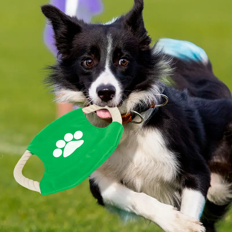 Frisbee De Cuerda Para Perro, Color Verde 1