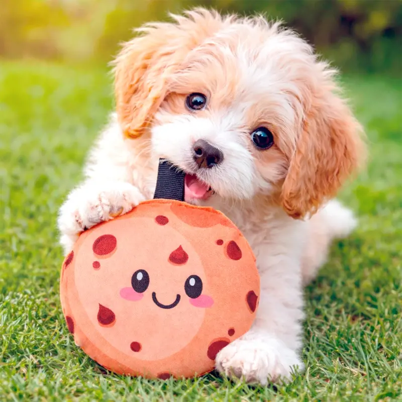 Galleta, Juguete Para Mascota 1