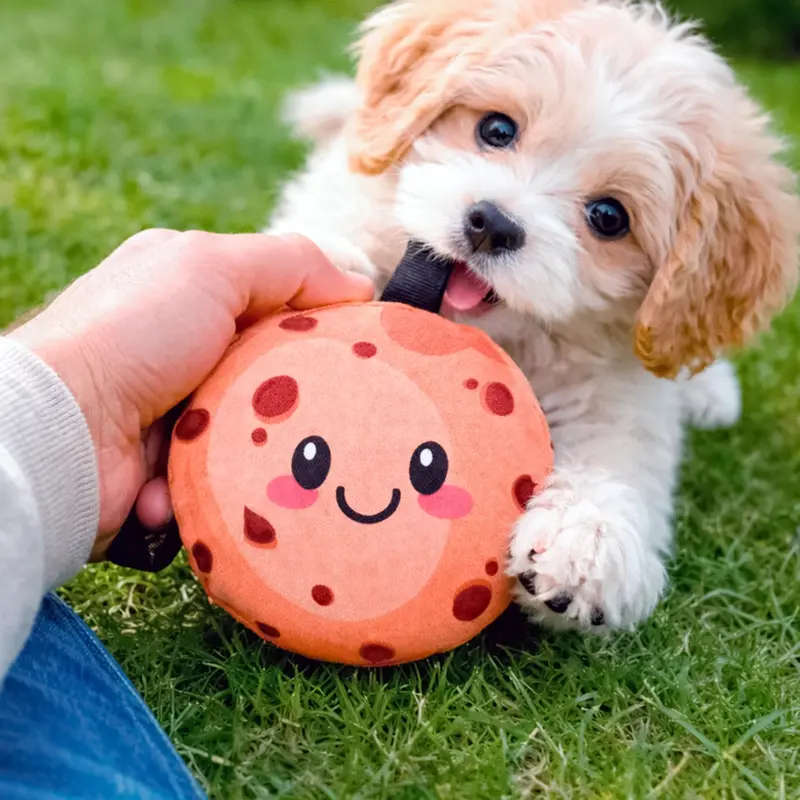 Galleta, Juguete Para Mascota 2