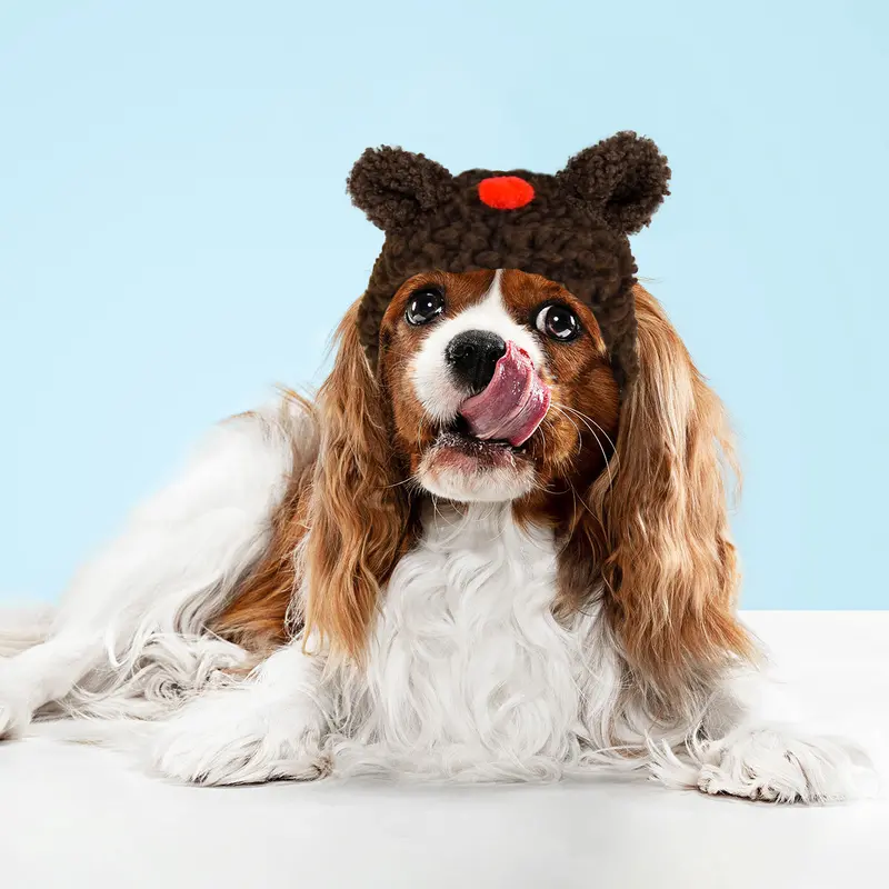 Gorrito Reno Navideño Para Mascota 1