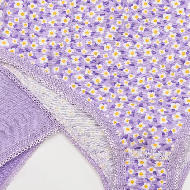 Hellobaby Baby Girl Underwear - Purple 4