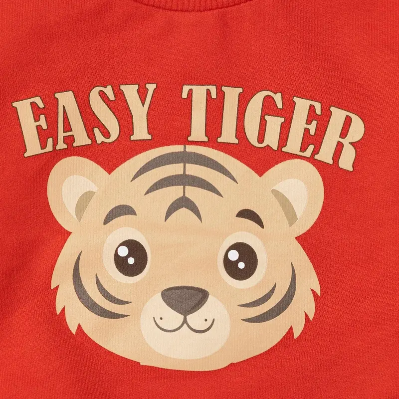 Hellobaby Basic Baby Boy Sweatshirt - Red 4