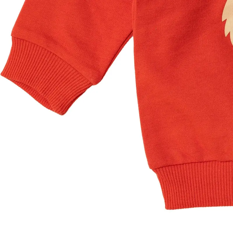 Hellobaby Basic Baby Boy Sweatshirt - Red 7