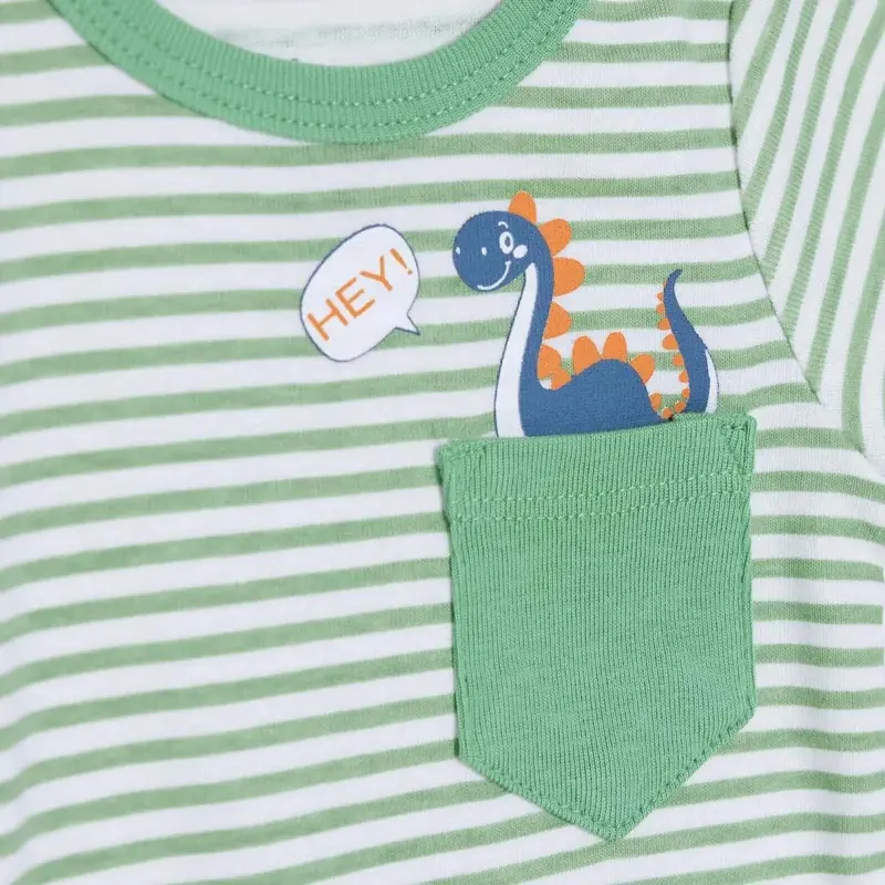 Hellobaby Boys 2-Pack Short-Sleeve Bodysuits Striped Snap Fastening Popper Neck Short Sleeve - Green 5
