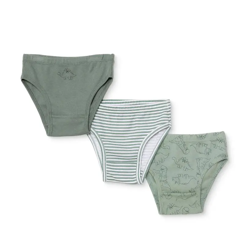 Hellobaby Boys Knickers Dinosaur - Petrol Green 1