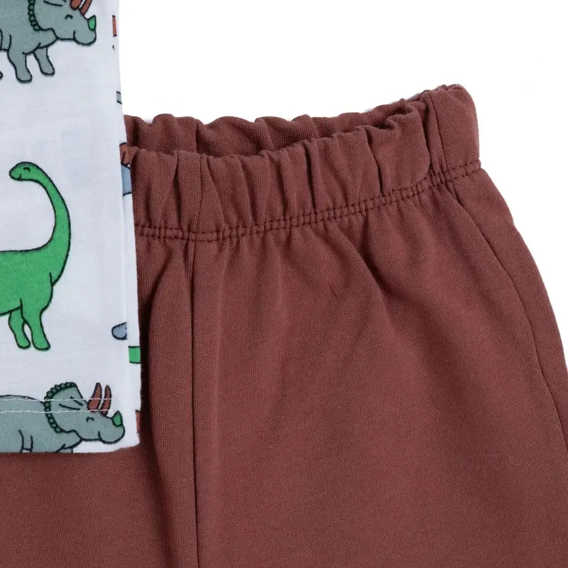 Hellobaby Boys T-Shirt & Shorts Set Dinosaur Print Crew Neck Above The Knee Short Sleeve - Ecru Printed 6