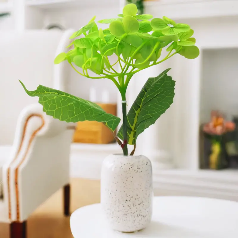 Hortensia, Color Verde 1