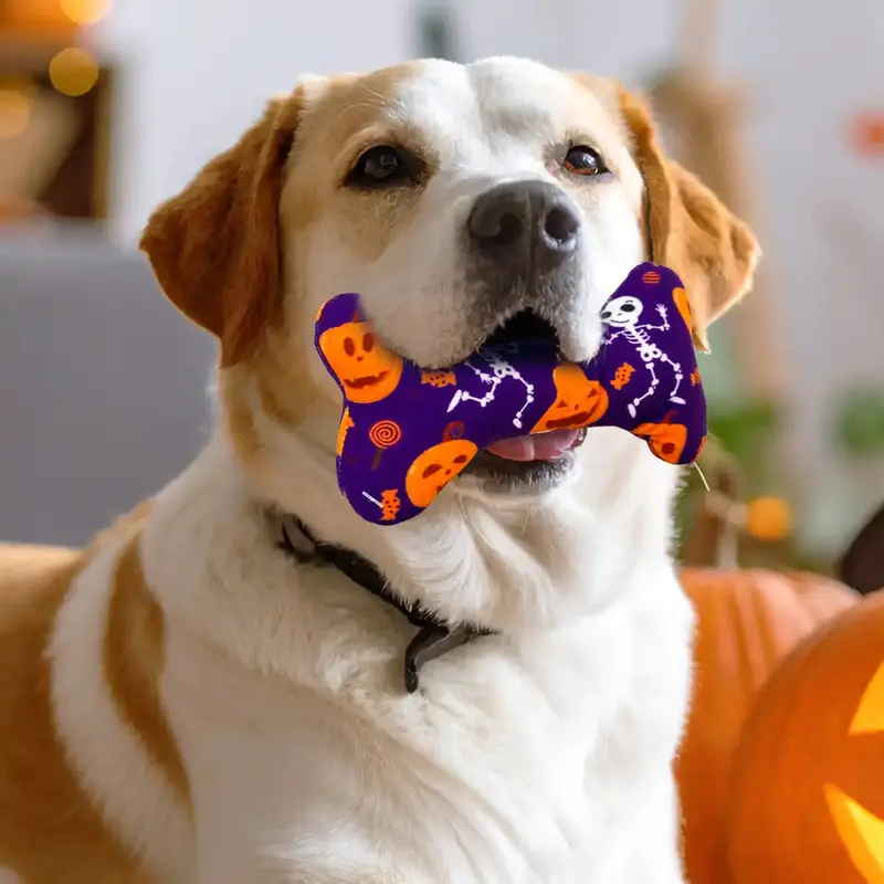 Hueso Juguete Para Perro, Halloween 1