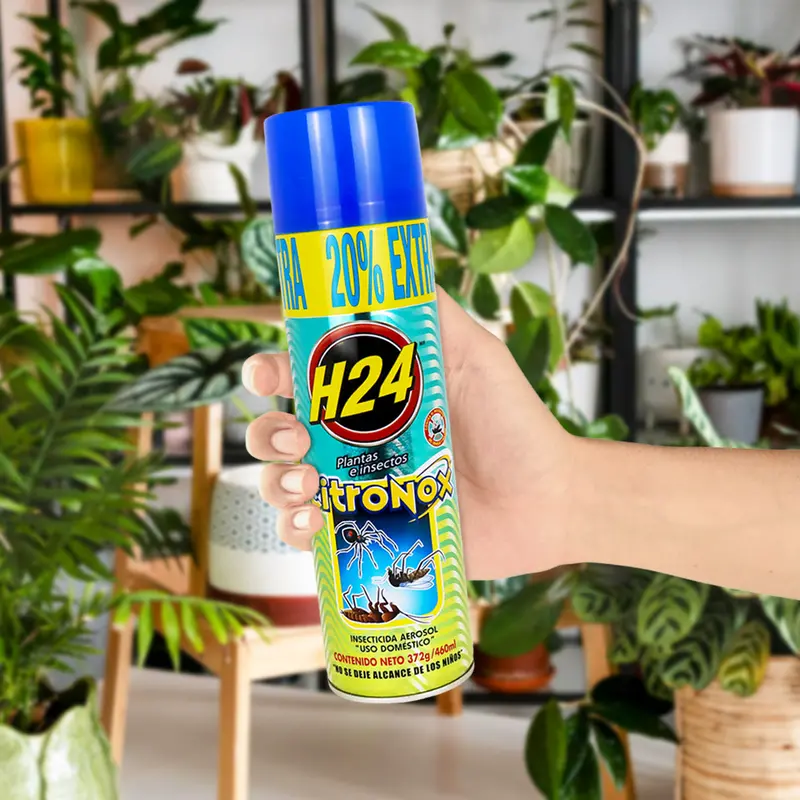 Insecticida En Aerosol H24 Citronox Para Plantas E Insectos 2
