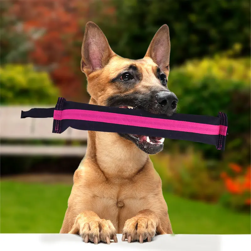 Juguete Color Negro Fucsia Con Agarradera Para Mascota 1