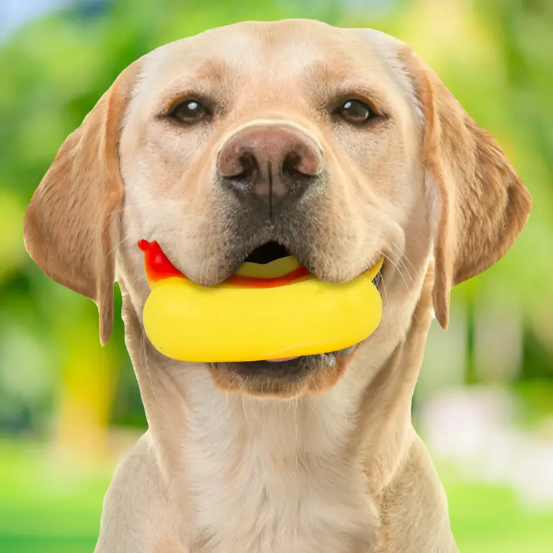Juguete Con Diseño De Hot Dog Para Mascota 1