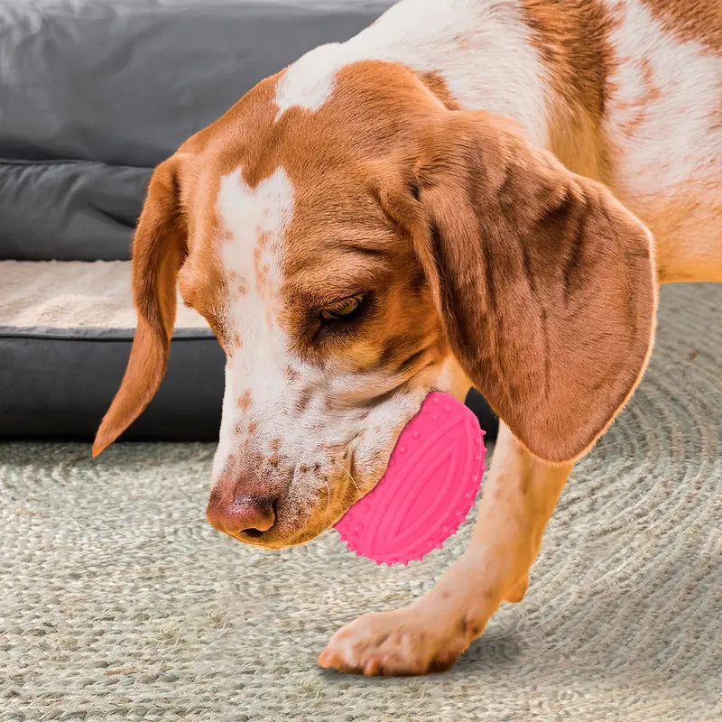 Juguete Con Dispensador De Premios Para Mascota, Color Fucsia 1