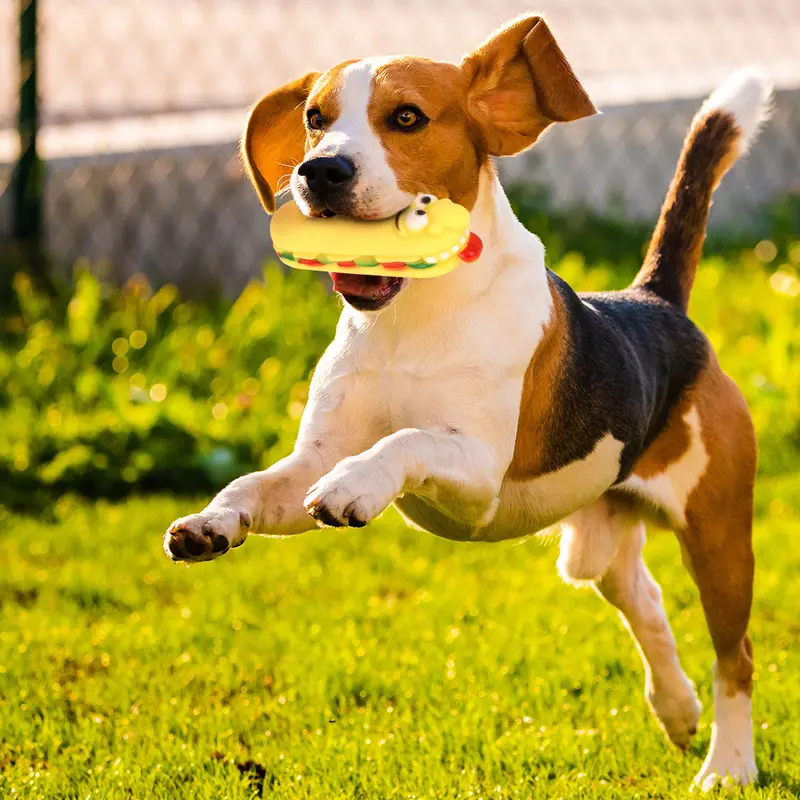 Juguete En Forma De Baguette Para Mascota 1