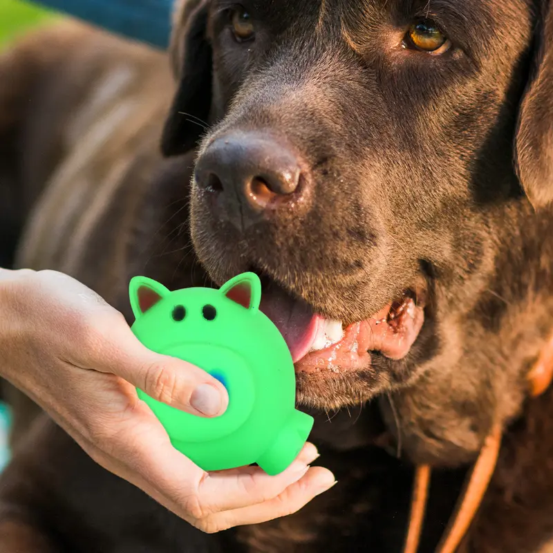 Juguete En Forma De Cerdito Color Verde Para Mascota 1