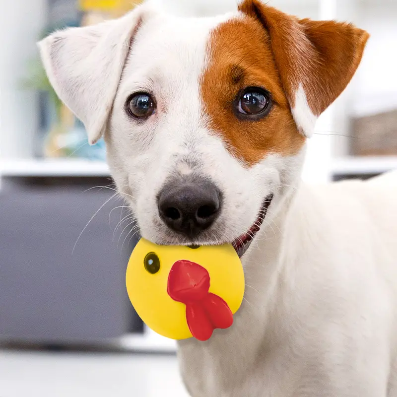 Juguete En Forma De Gallina Color Amarillo Para Mascota 1