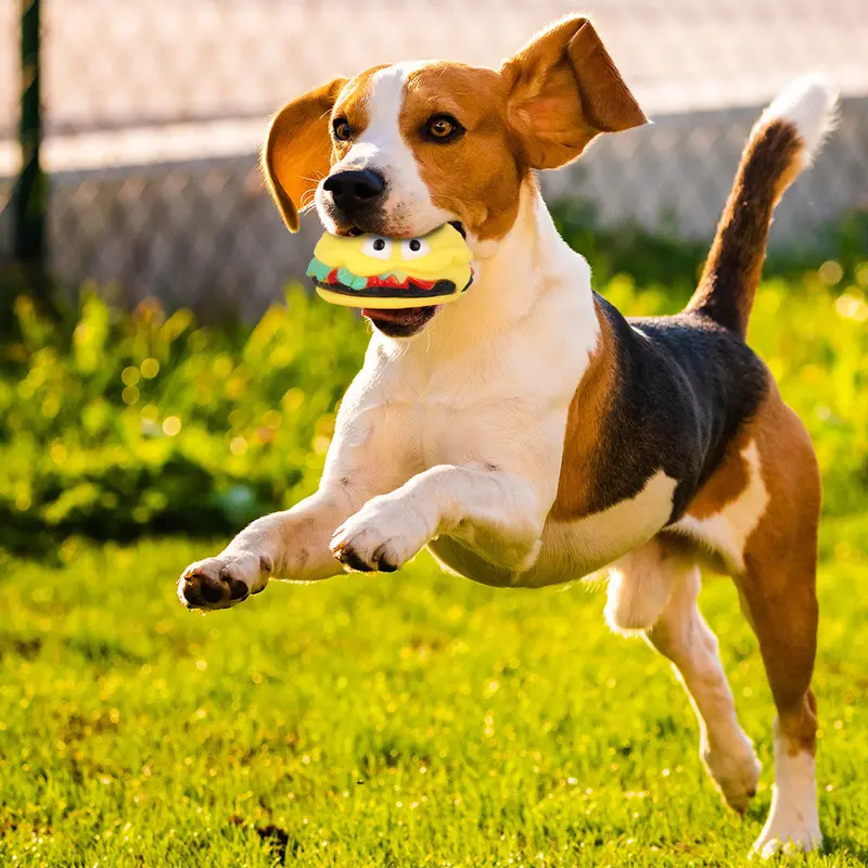 Juguete En Forma De Hamburguesa Para Mascota 1