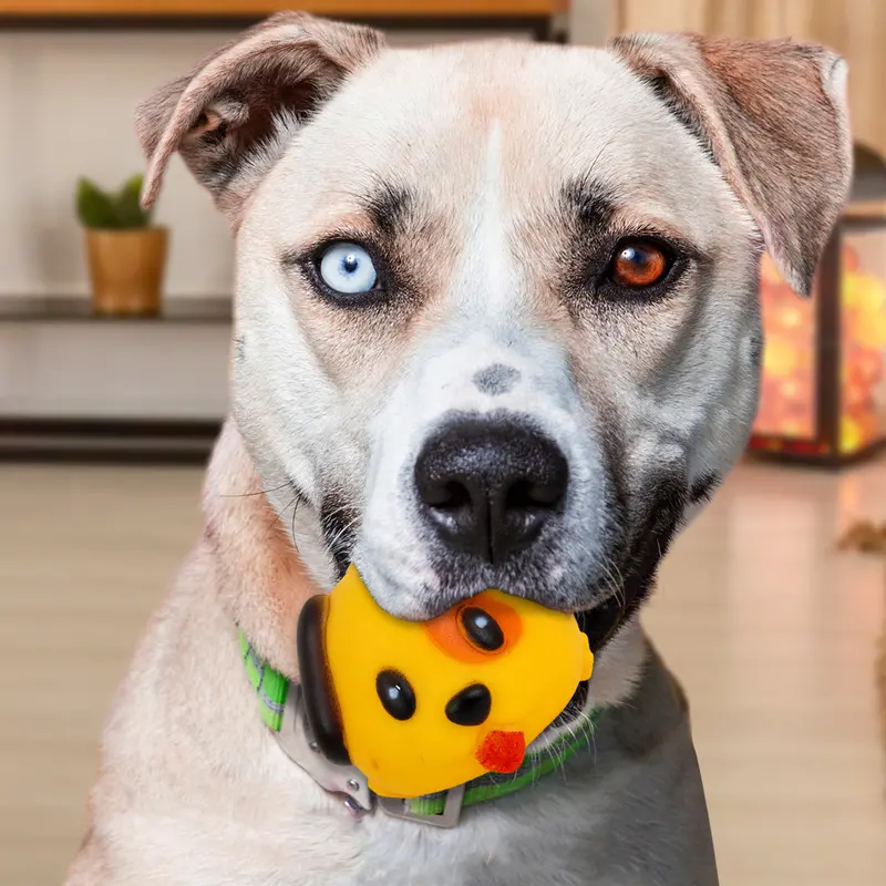 Juguete En Forma De Perrito Color Amarillo Para Mascota 1