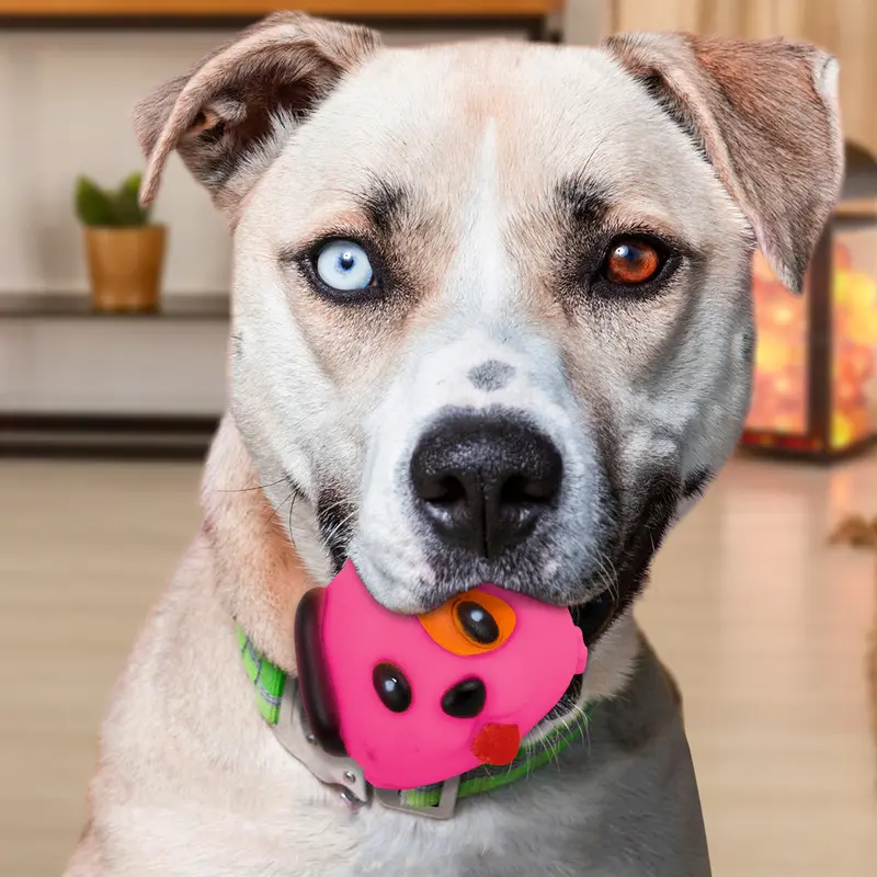 Juguete En Forma De Perrito Color Rosa Para Mascota 1