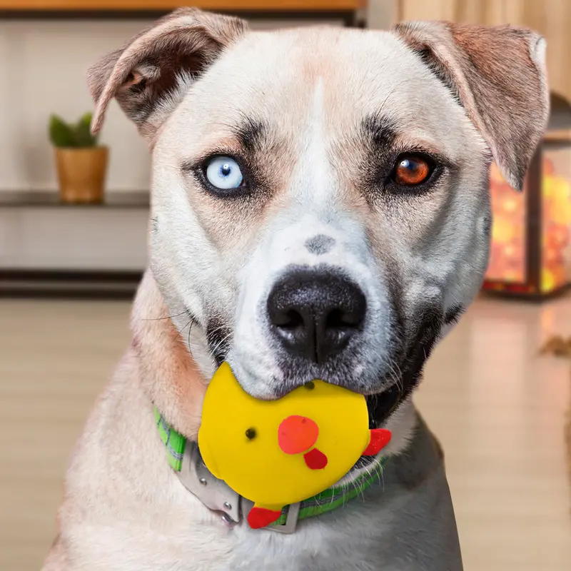 Juguete En Forma De Pollo Color Amarillo Para Mascota 1