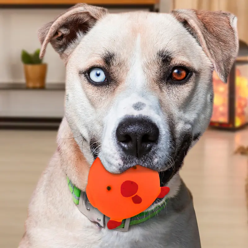 Juguete En Forma De Pollo Color Naranja Para Mascota 1
