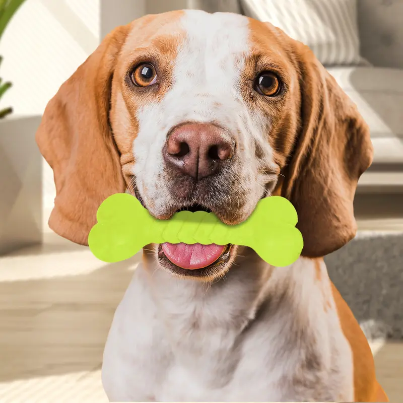 Juguete Masticable En Forma De Hueso Para Mascota, Color Verde 1