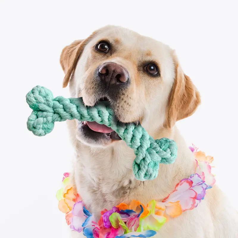 Juguete Para Mascota En Forma De Hueso 1