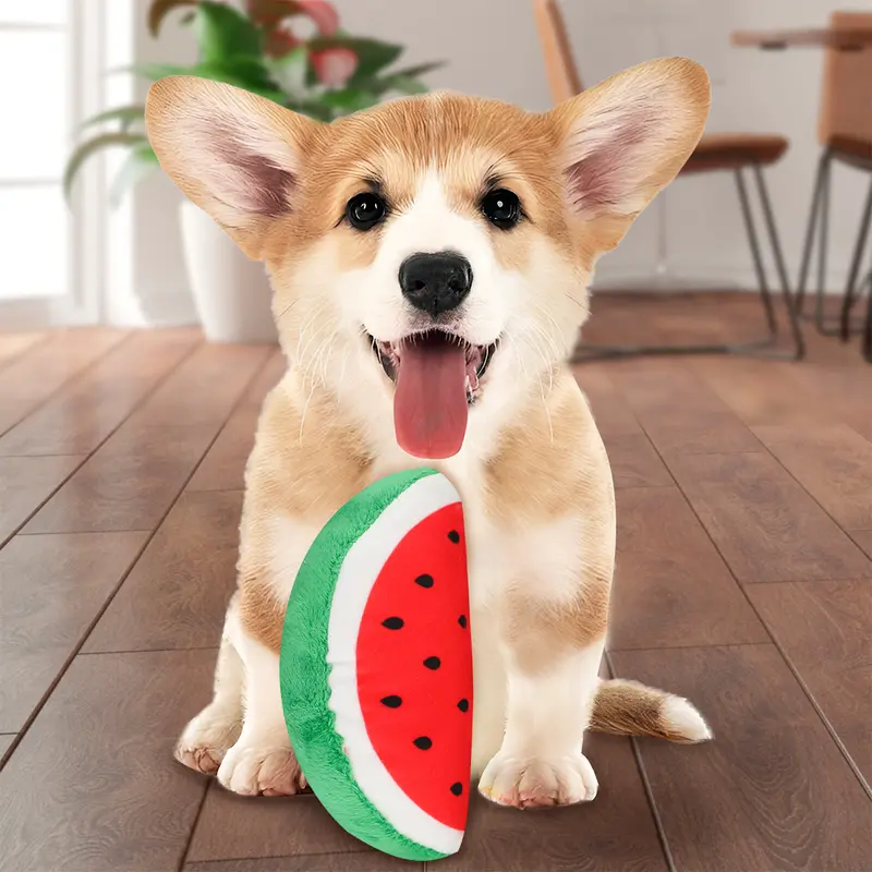 Juguete Para Mascotas En Forma De Sandía 1