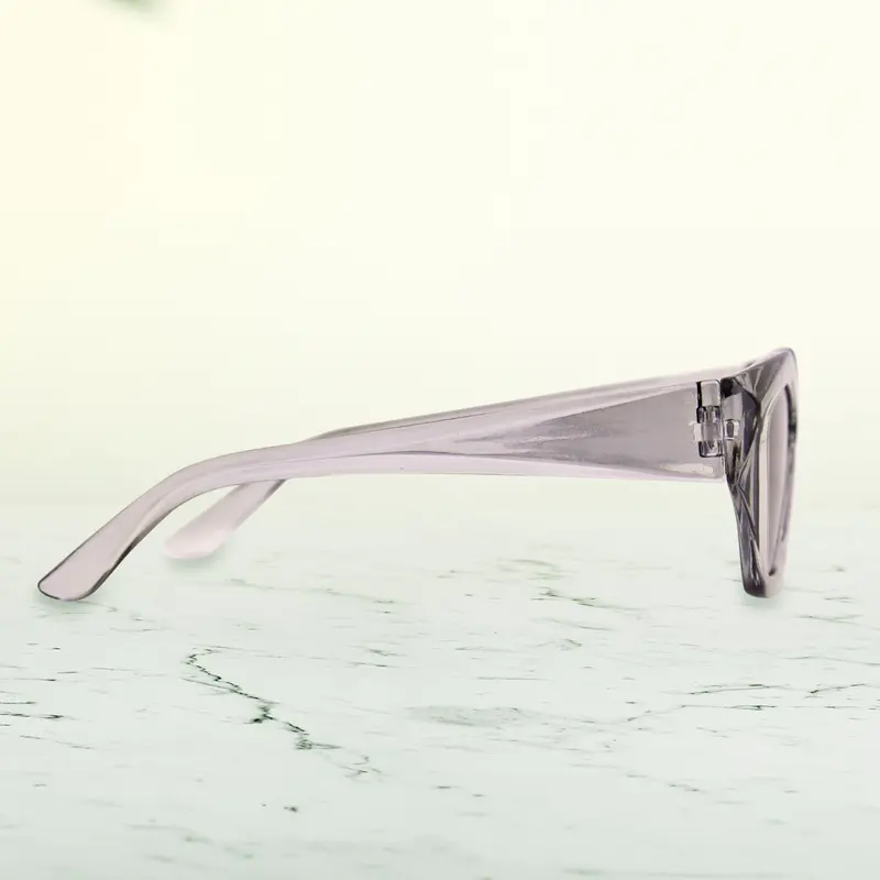 Lentes De Sol Con Marco Ovalado Transparente 2