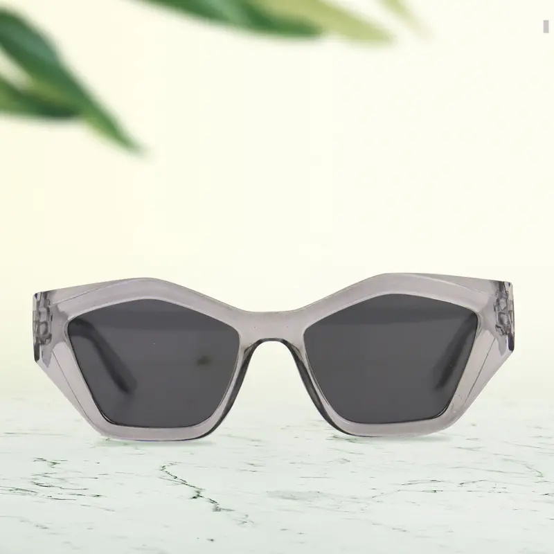 Lentes De Sol Con Marco Transparente 1