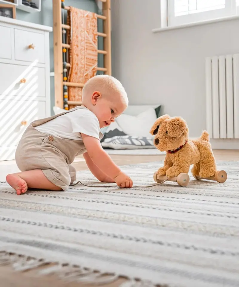Little Bird Told Me Dexter Dog Pull Along Toy 2