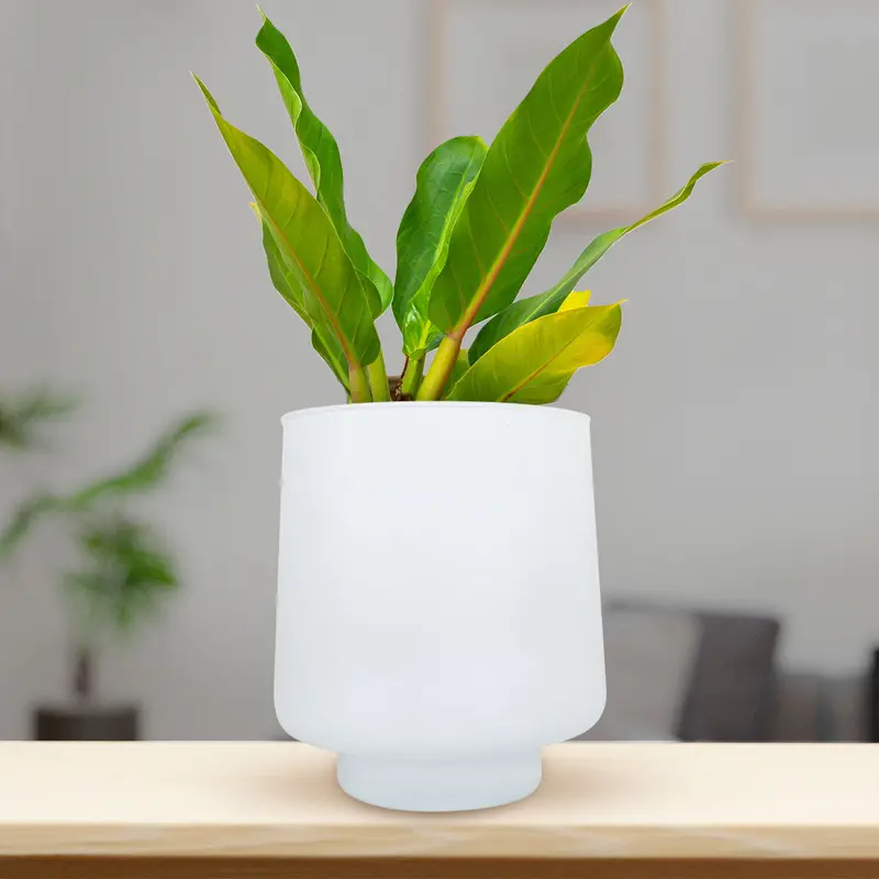 Maceta, Color Blanco 1