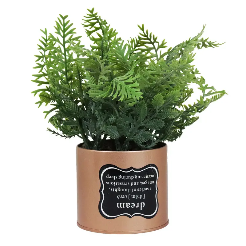 Maceta Con Planta Artificial, Frase Dream 2