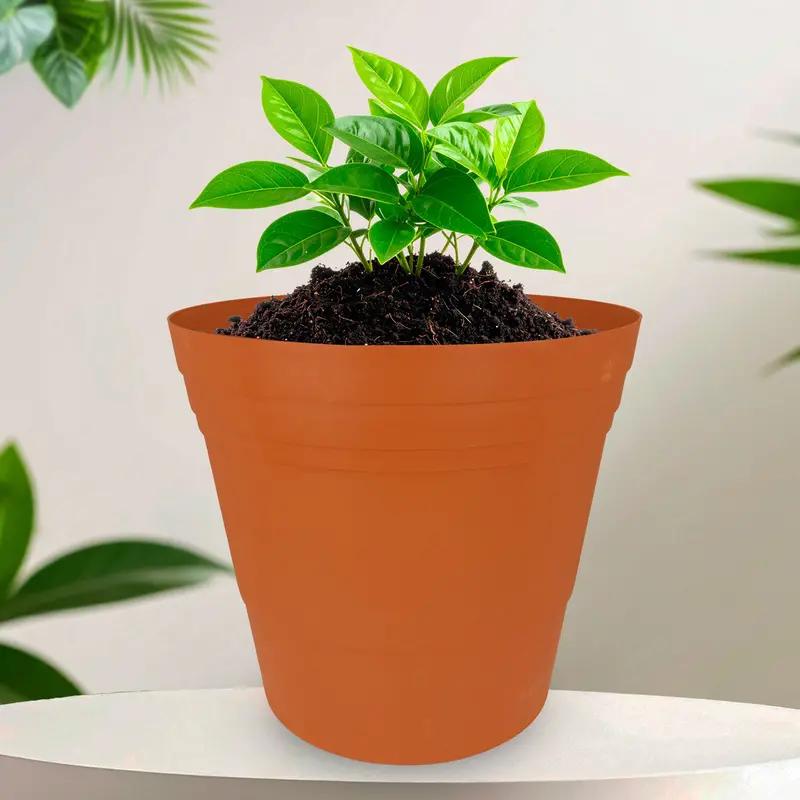 Maceta De Plástico, Color Naranja 1
