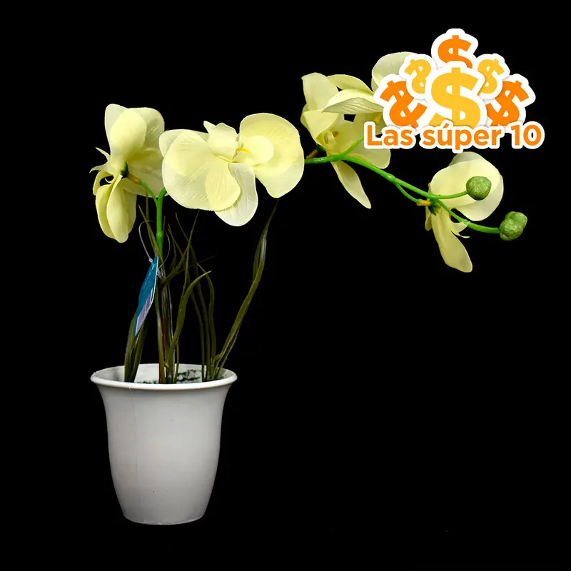 Maceta De Plástico Con Orquídea Color Amarillo 1