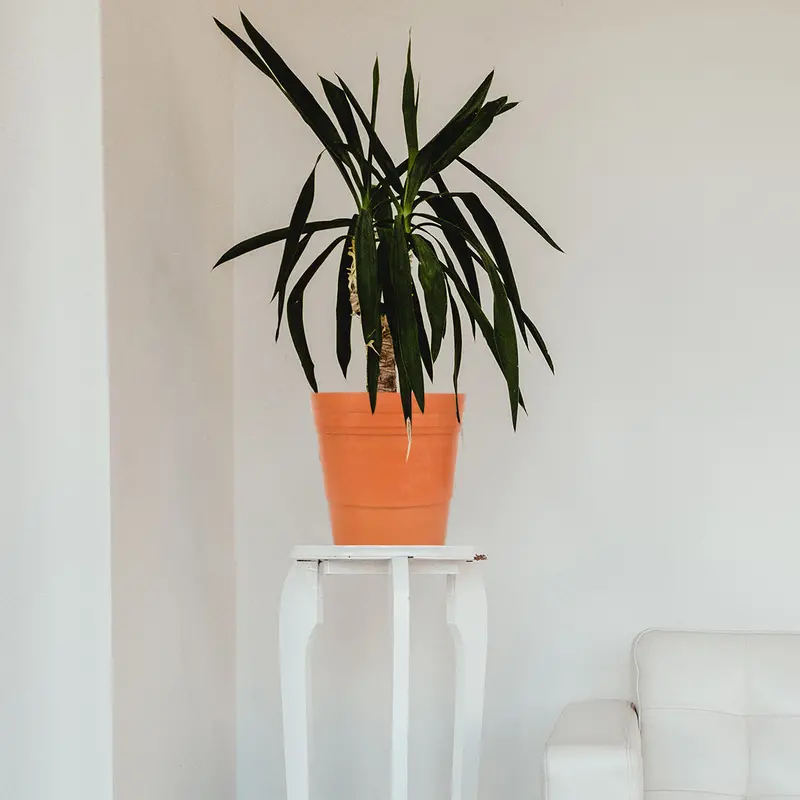 Maceta Decor 23Cm 1