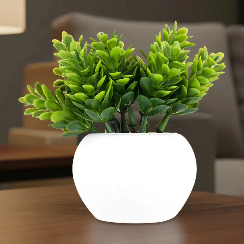 Maceta Mini Color Blanco Con Planta 1