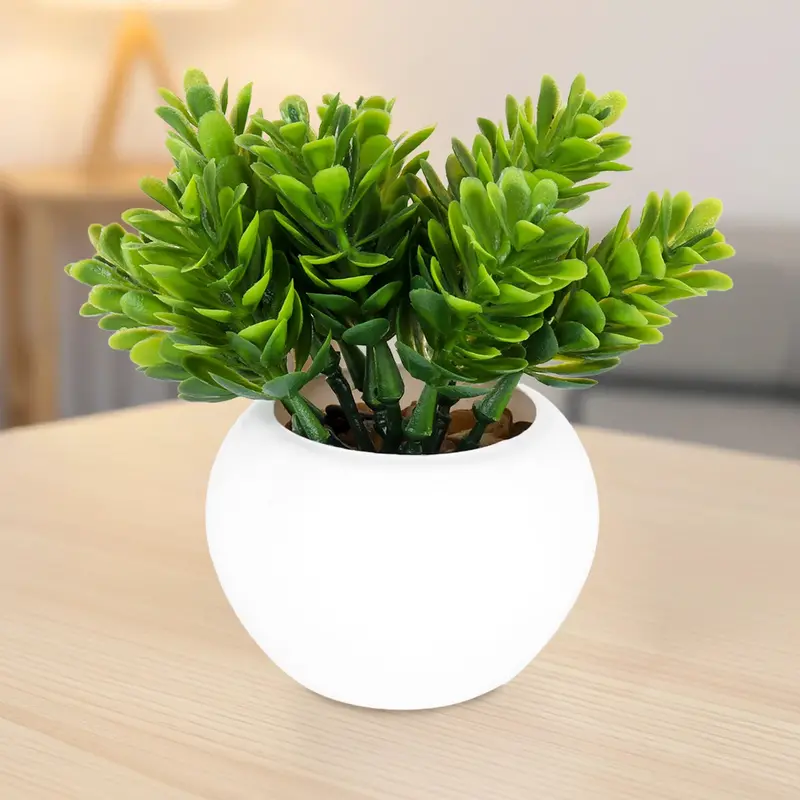 Maceta Mini Color Blanco Con Planta 2