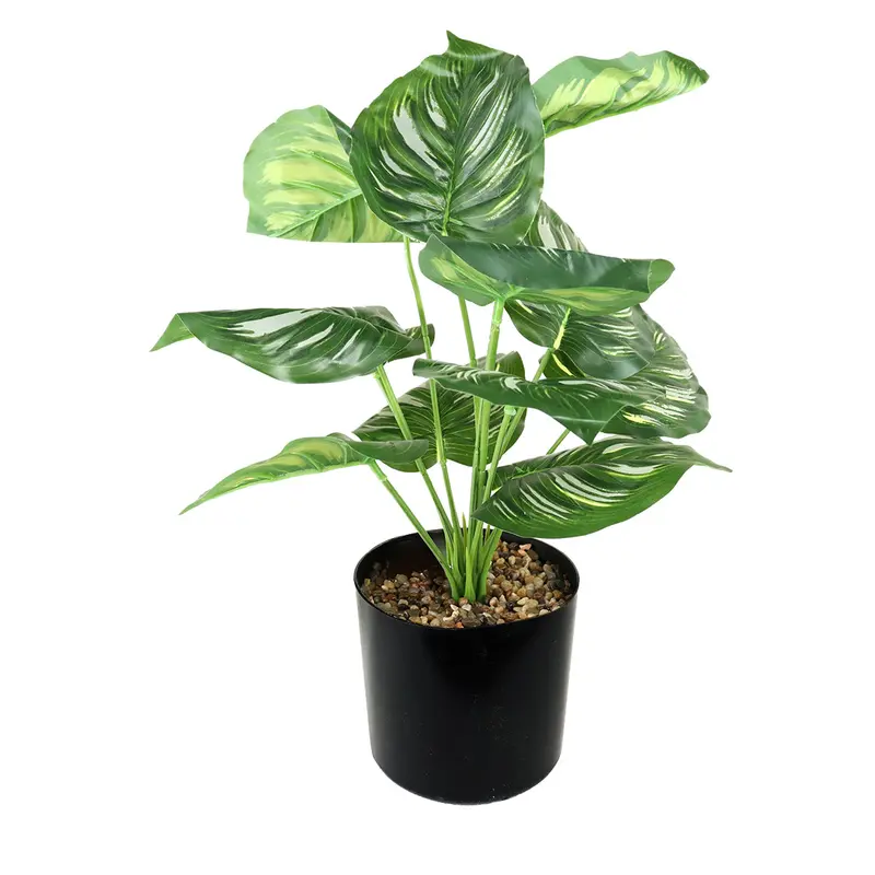 Maceta Negra Con Planta Calathea Artificial 2