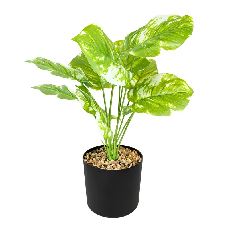 Maceta Negra Con Planta Monstera Obliqua Artificial 2