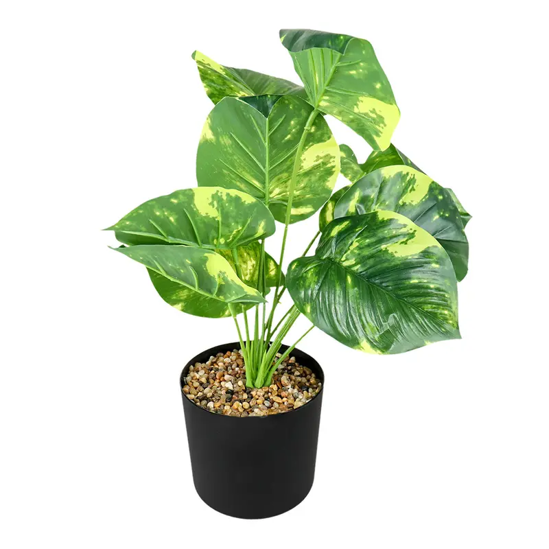 Maceta Negra Con Planta Monstera Obliqua Artificial, Color Verde 2